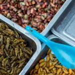 Exotic Foods in Laos