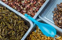 Exotic Foods in Laos