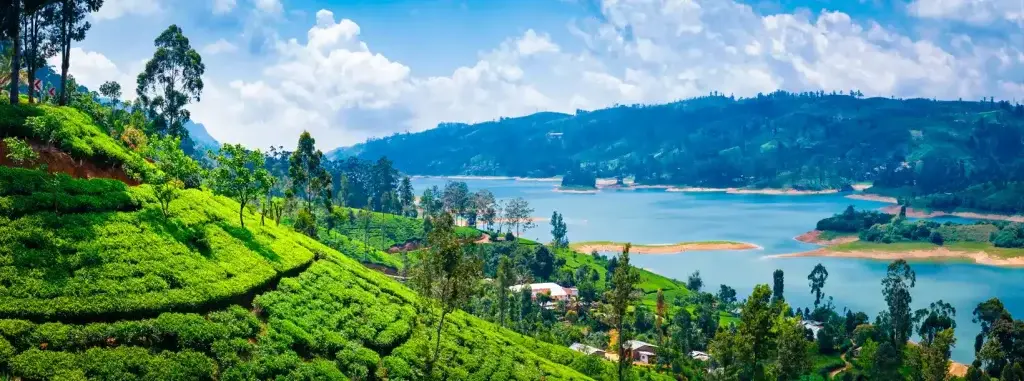 Top 10 Best View Hotels In Nuwara Eliya, Sri Lanka